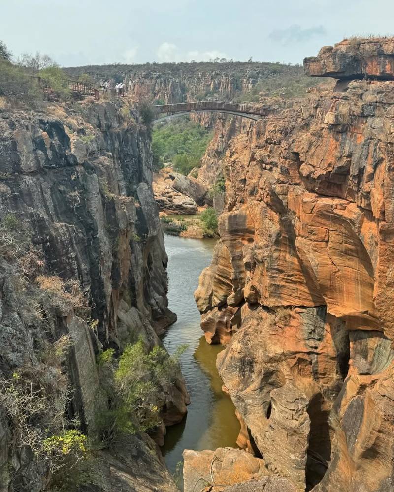 Panorama Route Full Day Tour